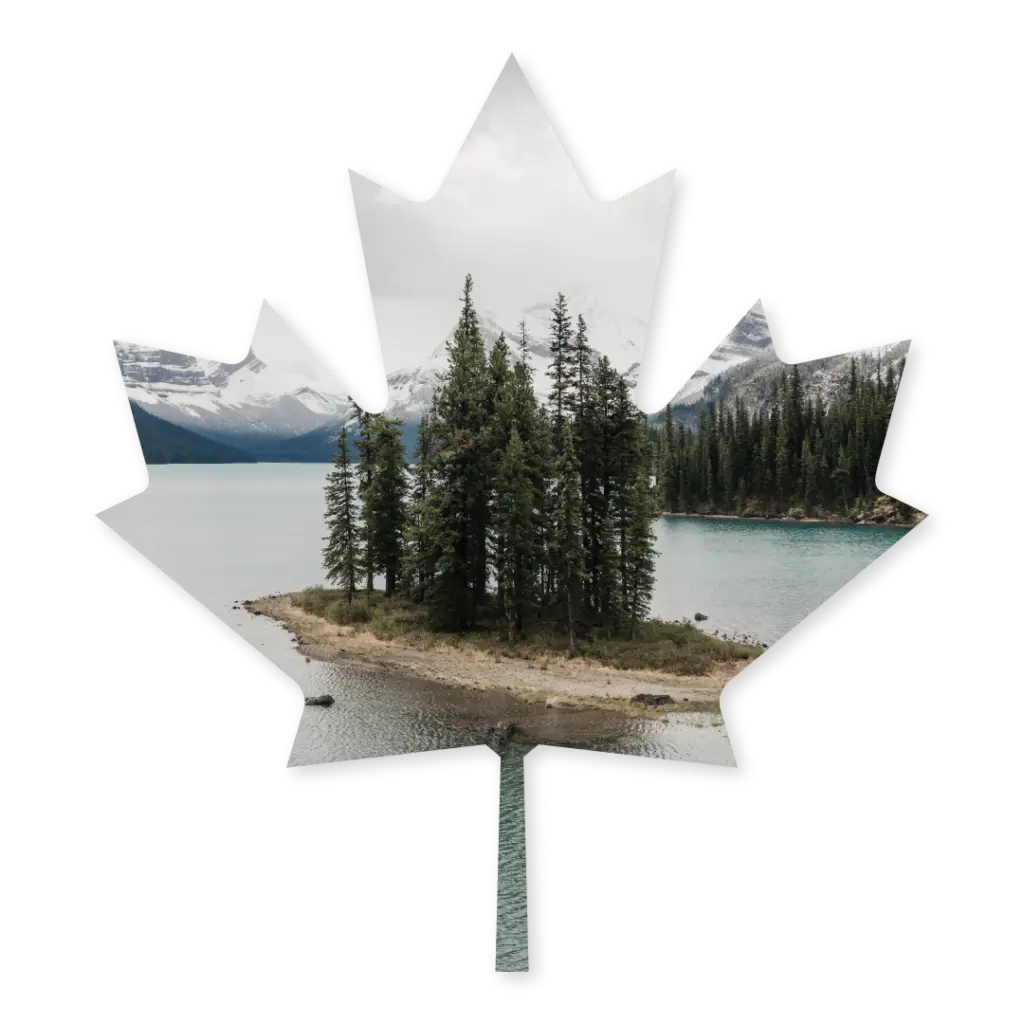 Immigration Consultant