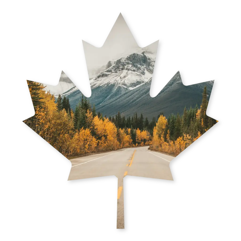 Temporary Resident Permit